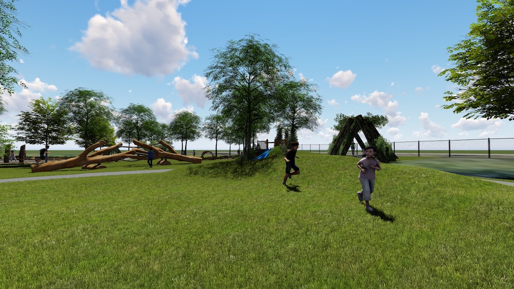 Portfolio Item Image
